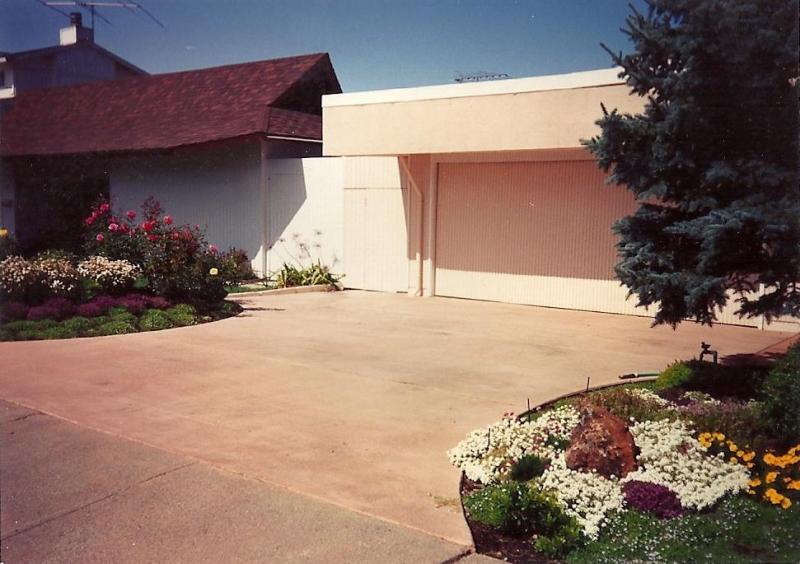 Driveway & landscape